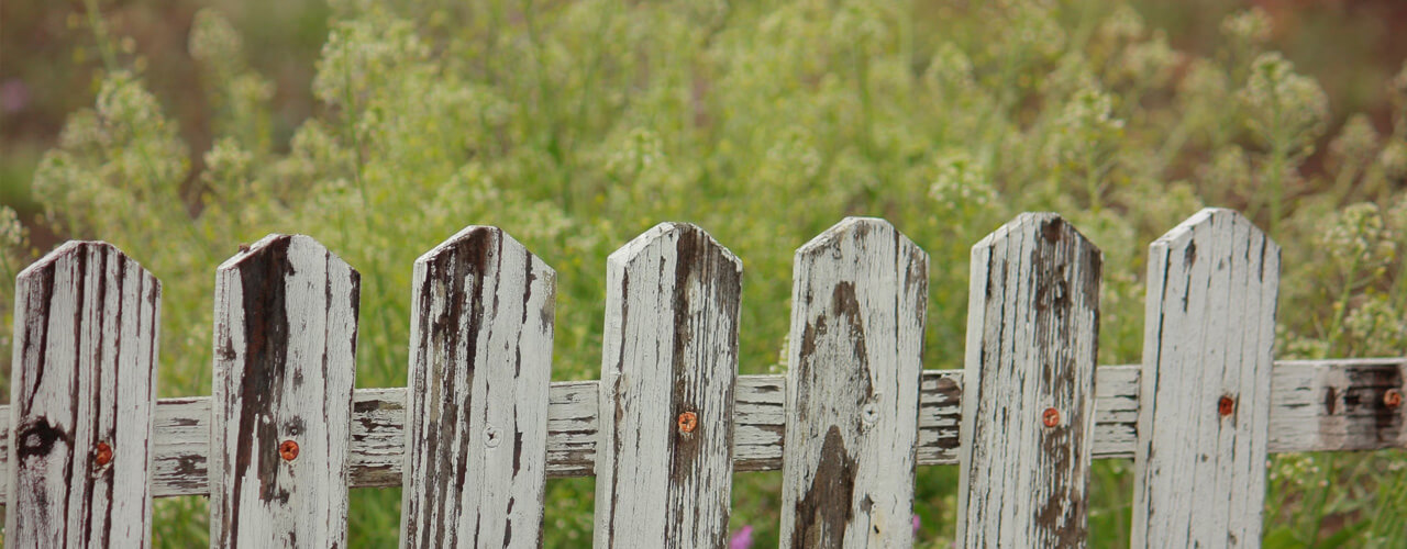 Property fence line